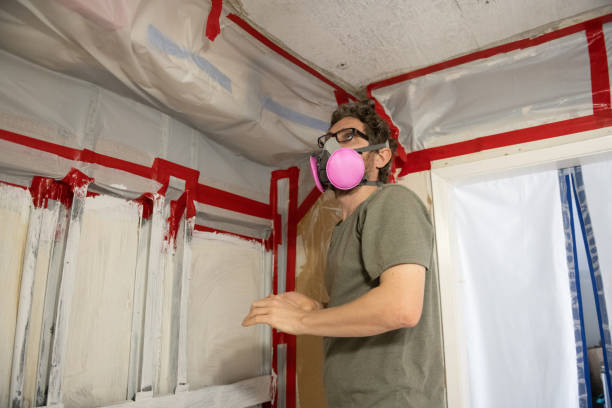 Best Crawl Space Mold Remediation  in Fort Mohave, AZ