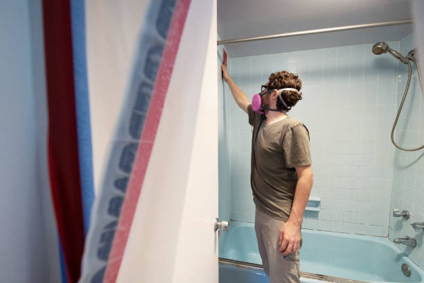 Best Emergency Mold Remediation  in Fort Mohave, AZ