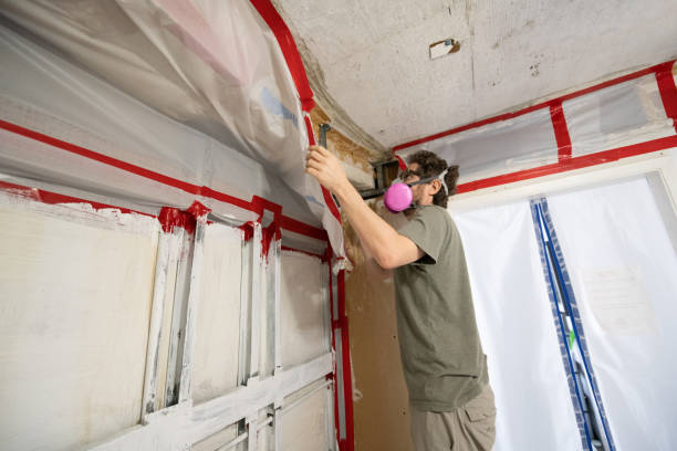 Best Air Quality Testing for Mold Spores  in Fort Mohave, AZ