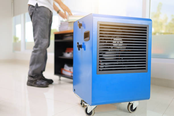 Best Airborne Mold Testing  in Fort Mohave, AZ