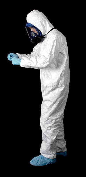 Best Water Damage & Mold Remediation  in Fort Mohave, AZ