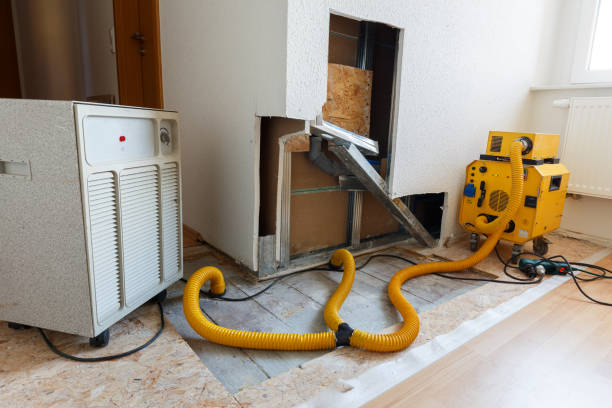Best Forensic Mold Investigation  in Fort Mohave, AZ