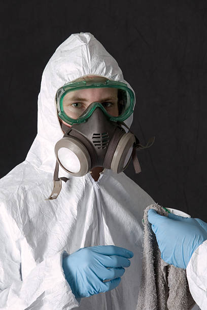Best Commercial Mold Inspection  in Fort Mohave, AZ